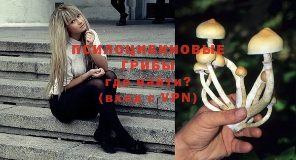 гидра Абинск