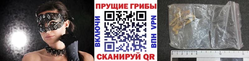 Псилоцибиновые грибы прущие грибы  площадка Telegram  Щёлкино 
